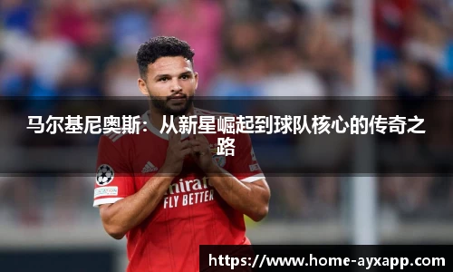 爱游戏体育官网